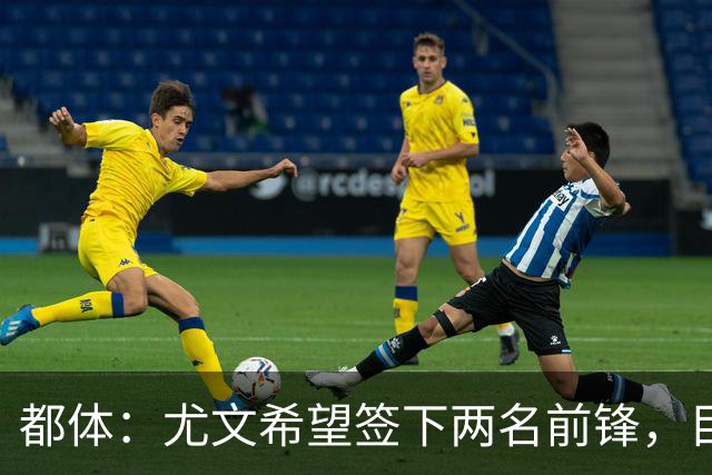 都体：尤文希望签下两名前锋，目光锁定DV9、佩莱格里诺和瑟洛特